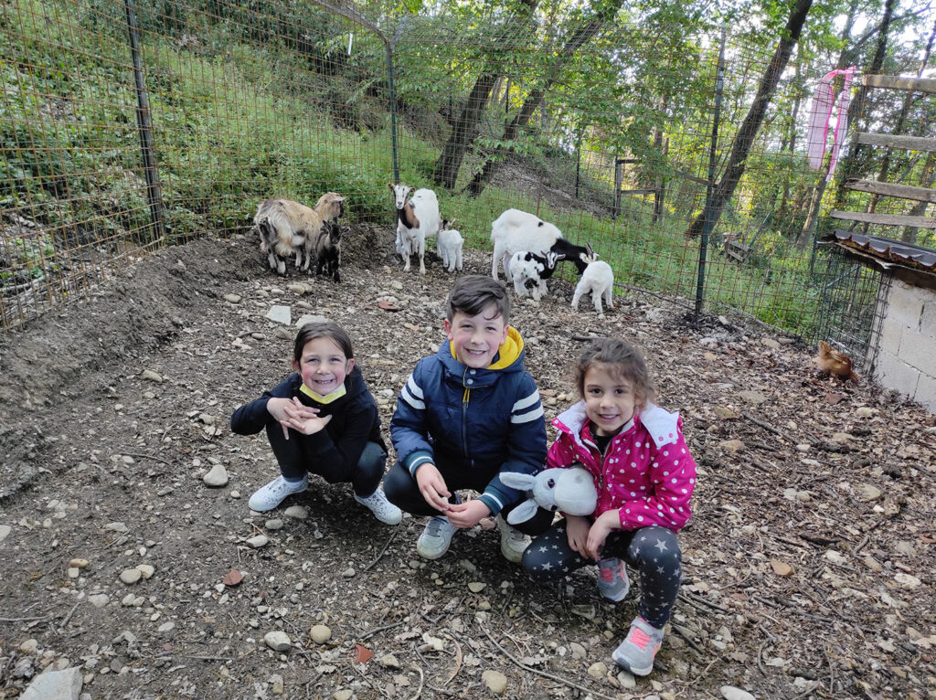 animali-podere-casanova-montespertoli6